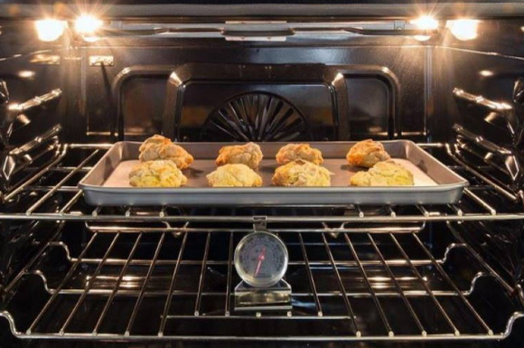 Oven Repair Service Denver 